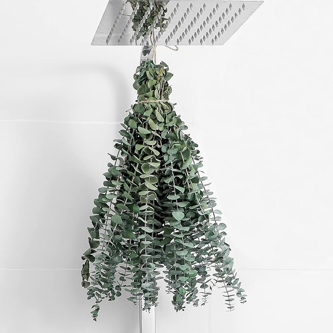 12 Pcs Eucalyptus for Shower Hanging 17" Real Eucalyptus Stems 100% Made from by FAVOWREATH