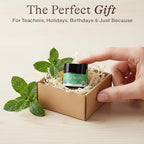 USDA Organic Lip Scrub Mint - Image 6