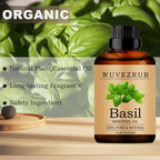 Basil Essential Oil, 240ML Pure and Natural - Image 4