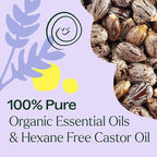 Plant Therapy Organic Lavender & Frankincense Castor Body Oil Roll-On 30 mL - Image 2