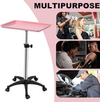 Salon Rolling Tray, Height Adjustable Tattoo Tray Rolling Cart, Storage Utility - Image 2