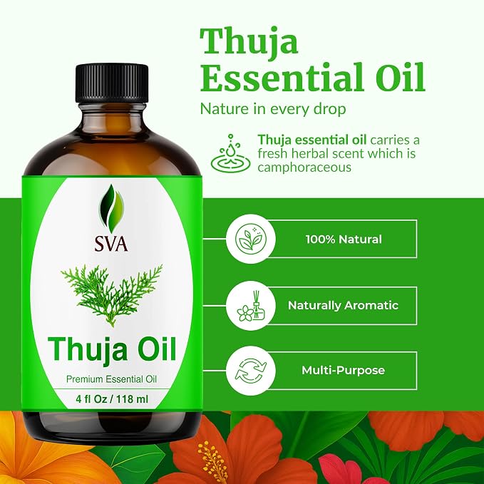SVA Thuja Essential Oil – 4 Fl Oz – 100% Natural Thuja Oil - Image 2