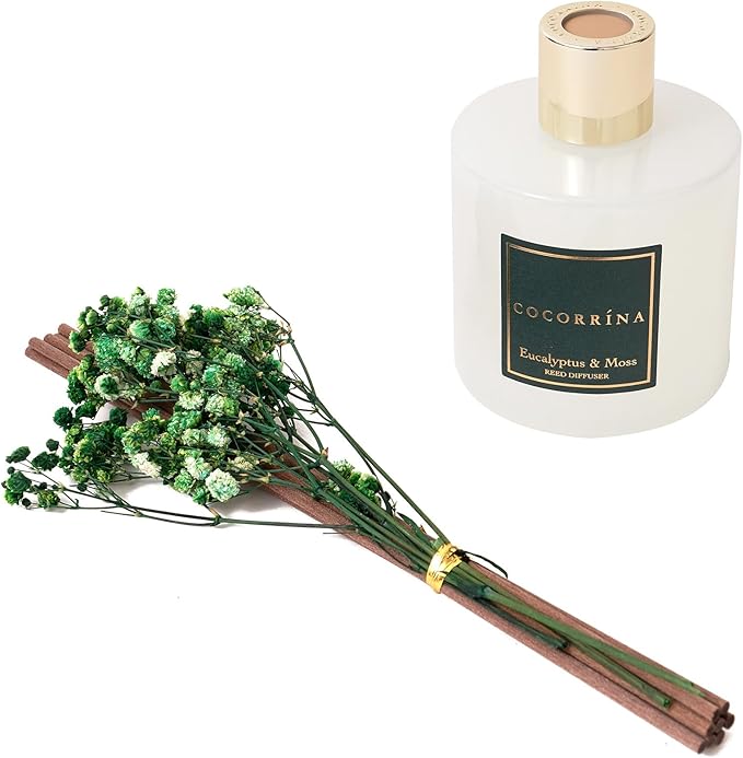 Cocorrína Reed Diffuser Sets- Eucalyptus & Moss Scented Diffuser - Image 6