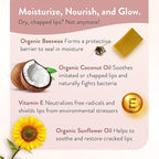 Moroccan Magic Organic Coconut Almond Lip Balm 3 Pack | Ultra-Hydrating Argan & - Image 2