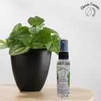 100% Pure Eucalyptus Shower Mist Spray- 2oz Natural Mist - Image 5