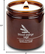 Hemlock Park Blood Orange Sage Apothecary Hand-Poured Scented Candle | - Image 6