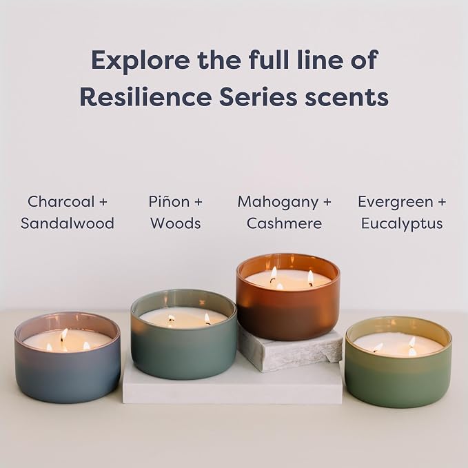 Calyan Wax Co. Charcoal & Sandalwood 3 Wick Scented Candle - Image 8