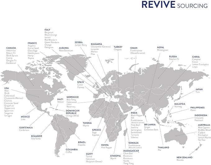 Eucalyptus Essential Oil 30mL by Revive Essential Oils - Image 7