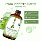 SVA Tamanu Seed Oil Organic - Image 4