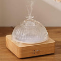 Lecdura Glass Essential Oil Diffuser by Lecdura