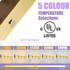Modern LED Bathroom Light Fixtures Dimmable 4-Light Gold Vanity Light, 5CCT - Image 3