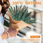 30 Pcs Eucalyptus for Shower, Dried Hanging Bundle -17in Real Eucalyptus Stems - Image 7