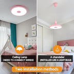Pink Waterproof LED Ceiling Light Fixture, Music Ceiling Lamp, - Image 5