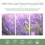 Lavender 3.38fl.oz Essential Oil, PHATOIL Aromatherapy Essential Oils - Image 7