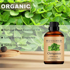 Oregano Essential Oils, 60ML Pure and Natural Essential Oil - Image 4