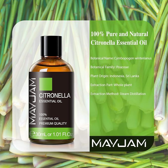 Citronella Essential Oil, MAYJAM 1.01FL.OZ Premium Citronella Oils - Image 3