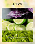 M&SENSE Lemon Vegan Soy Candles, Non Toxic 8.1oz 42-Hour Long Burning, Winter - Image 2