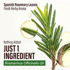 100% Pure Rosemary Oil - Image 5
