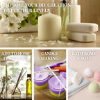 Well-Being Essential Oils Set-Essential Oils - Image 6