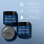 New York Biology Dead Sea Mud Mask - Image 4
