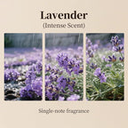 Lavender Essential Oils Aroma Waterless Diffuser Refill - Image 4