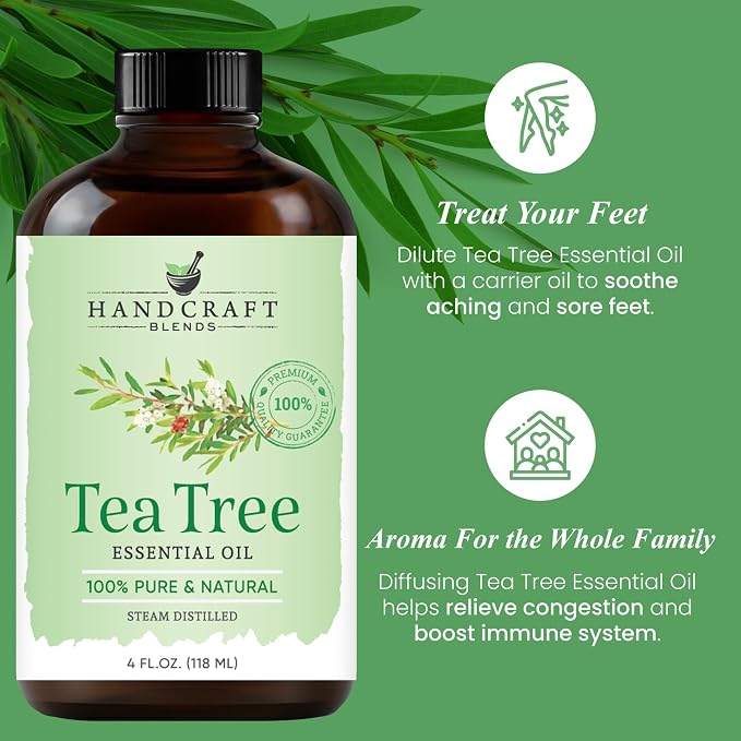 Handcraft Blends Tea Tree Essential Oil – Huge 4 Fl Oz – 100% Pure and Natural - Image 4
