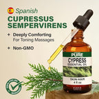 100% Pure Cypress Oil - Image 3
