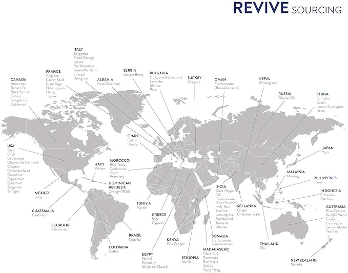 Vanilla by Revive Essential Oils - Image 4