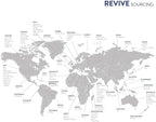 Citrus Delight Essential Oil Blend by Revive Essential Oils - Image 5