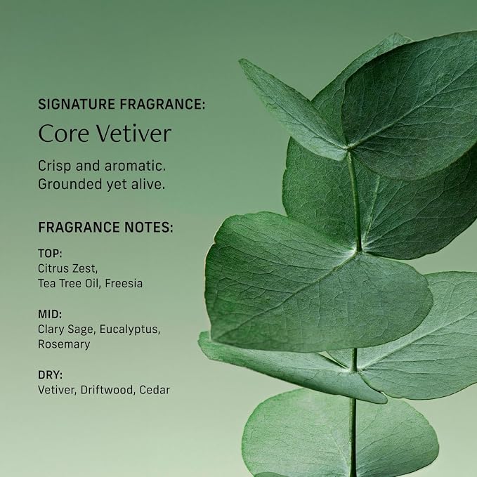 CYKLAR Perfume Oil for Skin – Core Vetiver Scent – Crisp & Aromatic Perfume - Image 4
