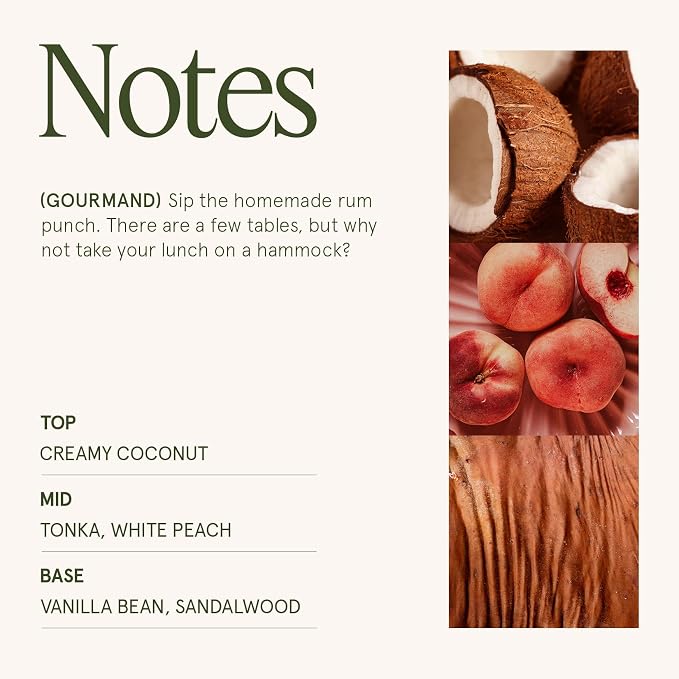 LA JOLIE MUSE Island Coconut Scented Candle – Coconut, Peach & Vanilla | 6oz - Image 4