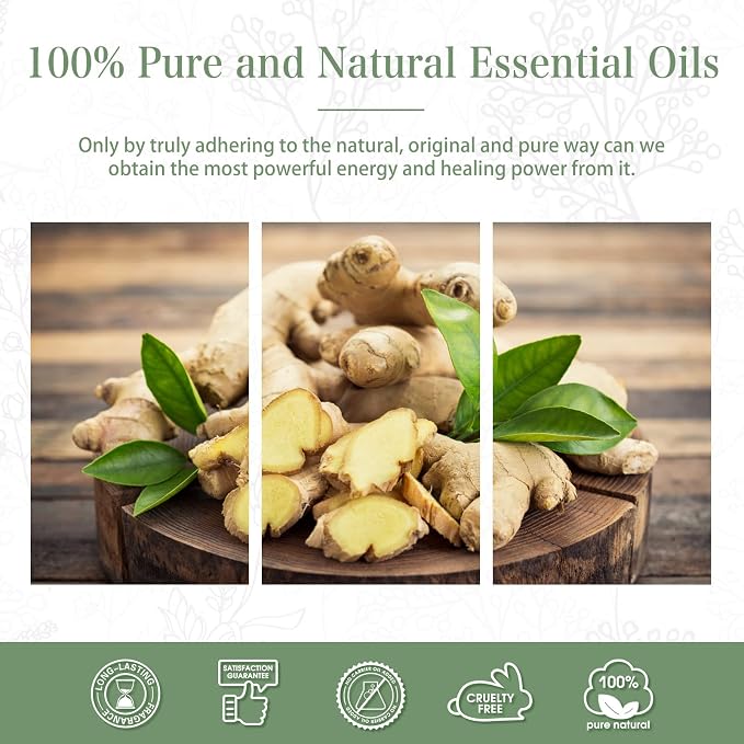 Ginger Essential Oil, 1.01Fl.Oz PHATOIL Pure Essential Oil Singles - Image 7