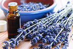 EuroSpa Aromatics Pure Eucalyptus Oil ShowerMist and Steam Room Spray, - Image 4