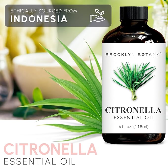 Brooklyn Botany Citronella Essential Oil - Image 4