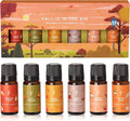 Folkulture Fall is in The Air Essential Oils Set of 6 | Diffuser Fragrance Oils by FOLKULTURE