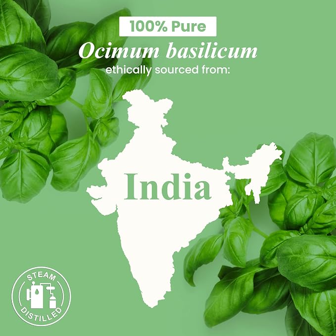 Handcraft Blends Basil Essential Oil – 1 Fl Oz – 100% Pure and Natural – - Image 8