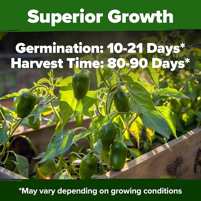 HOME GROWN Jalapeno Pepper Seeds 129+ Heirloom Non-GMO Seeds - Image 2