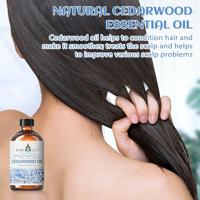 EVOKE OCCU Cedarwood Essential Oil - Image 2