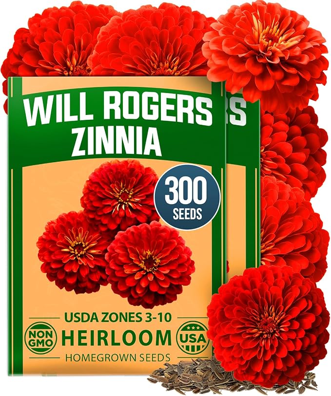 HOME GROWN Will Rogers Zinnia Seeds by HOMEGROWN