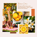 Room Spray, Blossom Citrus, 4 fl oz, Air Freshener - Image 2