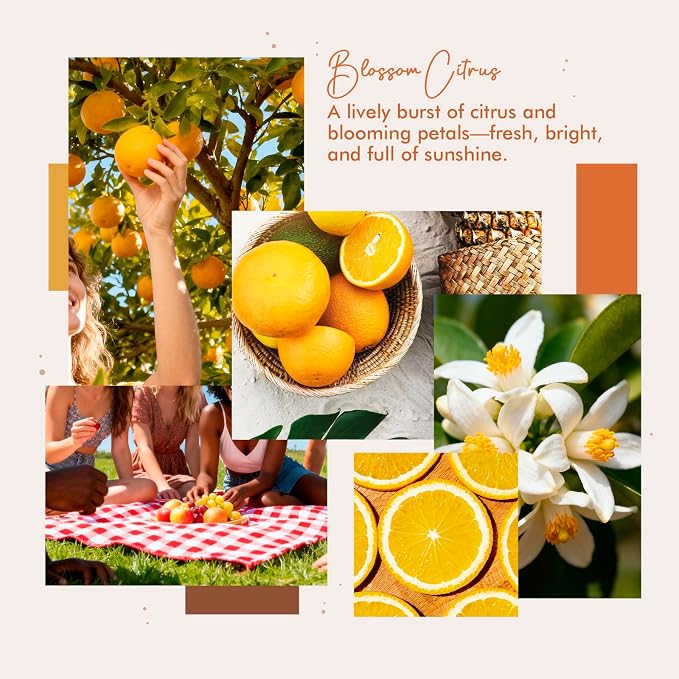 Room Spray, Blossom Citrus, 4 fl oz, Air Freshener - Image 2