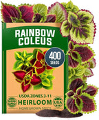 HOME GROWN Coleus Rainbow Seeds – 400 Count 0.04 oz Flower Seed, Coleus by HOMEGROWN