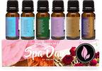 Eternal Essence Oils Spa Day Set of 6 Premium Fragrance Oils - Image 6