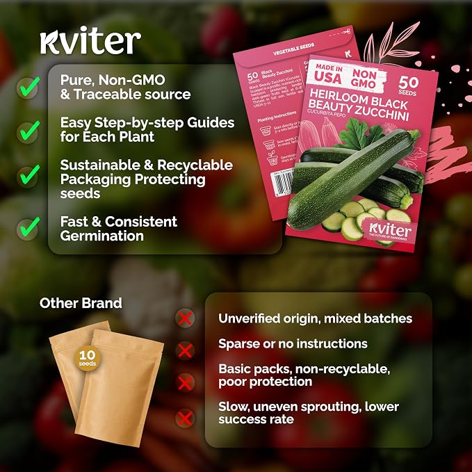 KVITER 50 Black Beauty Zucchini Seeds - Image 5