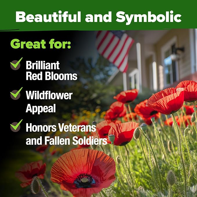 HOME GROWN American Legion Red Poppy Seeds - Image 6