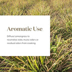 Lemongrass Essential Oil by Young Living, 15 Milliliters, Topical and Aromatic - Image 4