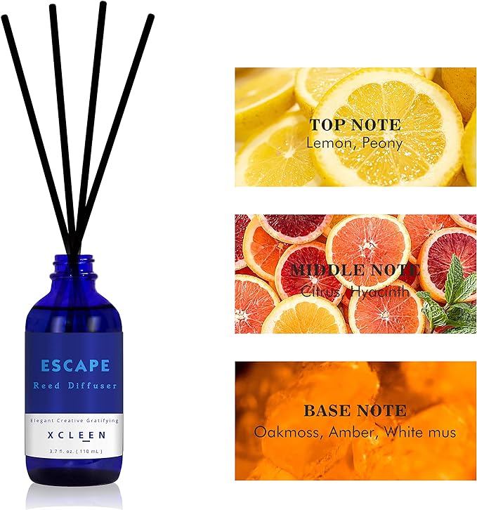 Xcleen Reed Diffusers Set, 3.7 Oz Scent Diffuser, 6 Reed Diffuser Sticks - Image 4