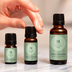 Edens Garden Fir Around The World Essential Oil- 100% Pure Premium Grade - Image 2