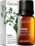 100% Pure Catnip Essential Oil by GyaLabs