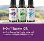 Now Essential Oils, Uplifting Aromatherapy Scent, Cold Pressed, 100% Pure - Image 4